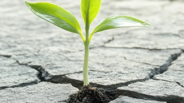 Building IT Resilience: How to Keep Systems Strong, Secure, and Always Running