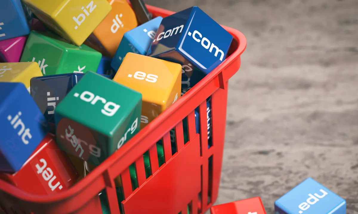 DNS vs DHCP Explained